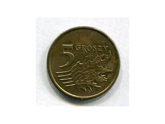 POLSKA. 5 groszy 2008.